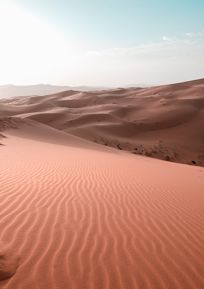 Sahara 3