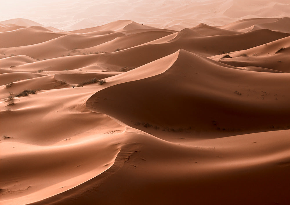 Morocco Sahara 4