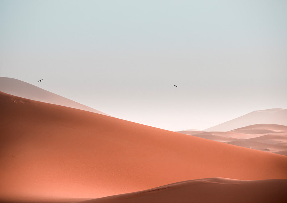 Morocco Sahara 6