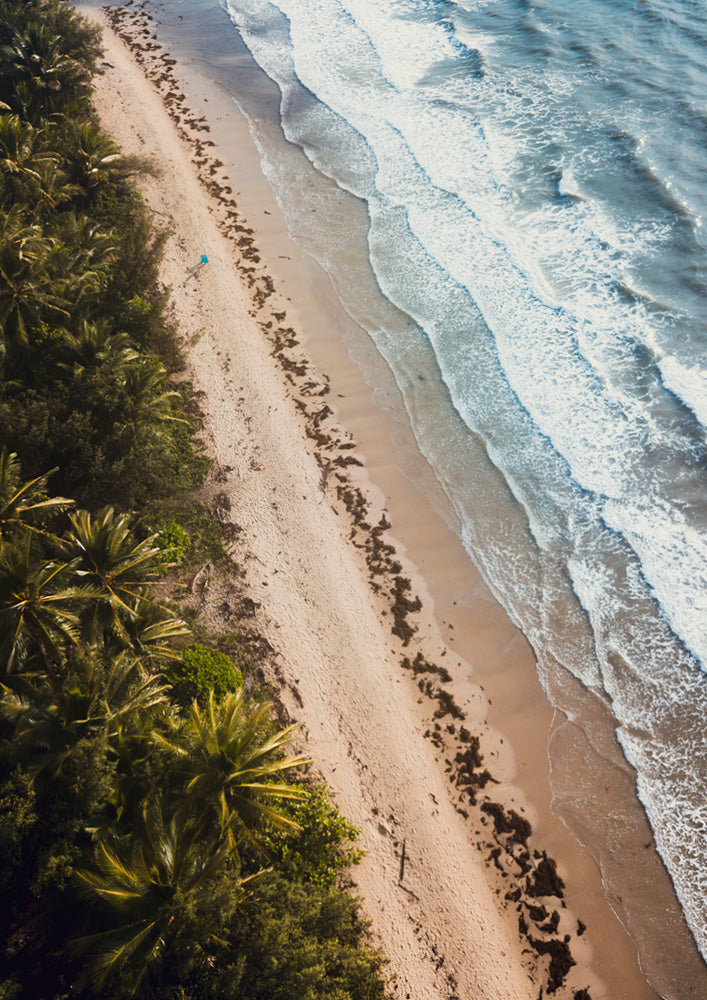Sea Line