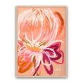 Protea Love