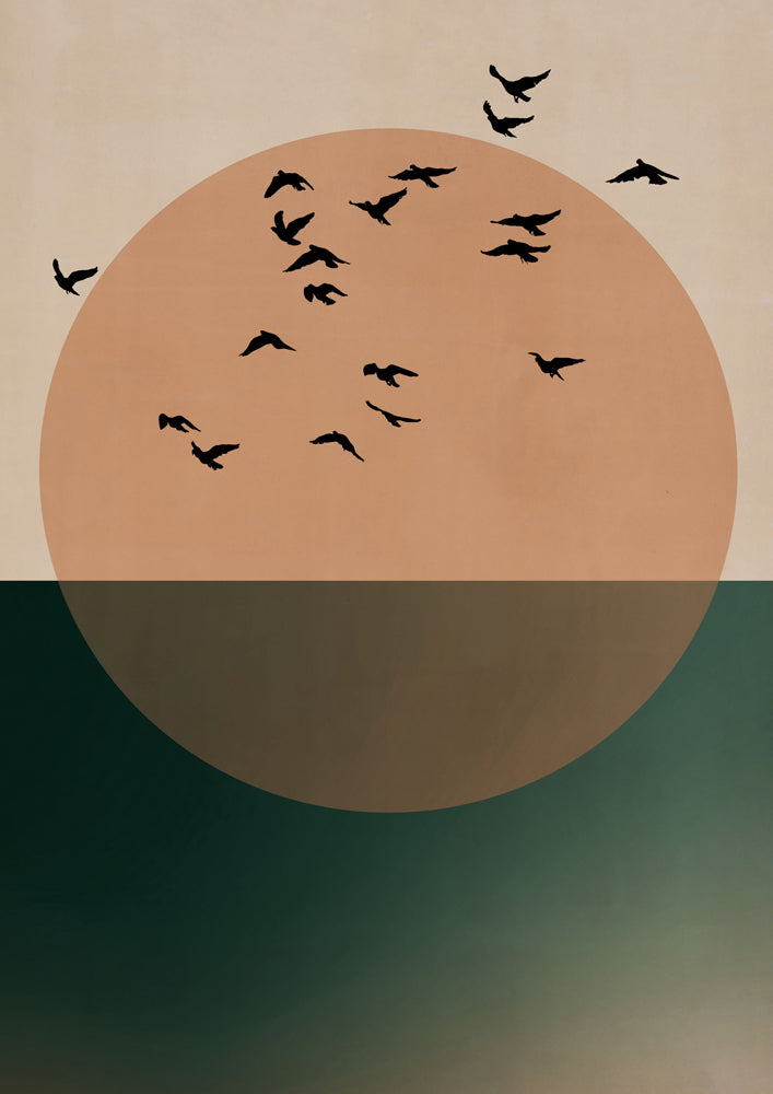 Birds Journey