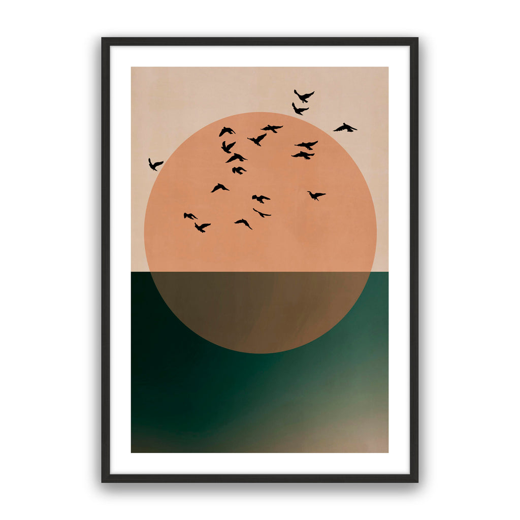 Birds Journey
