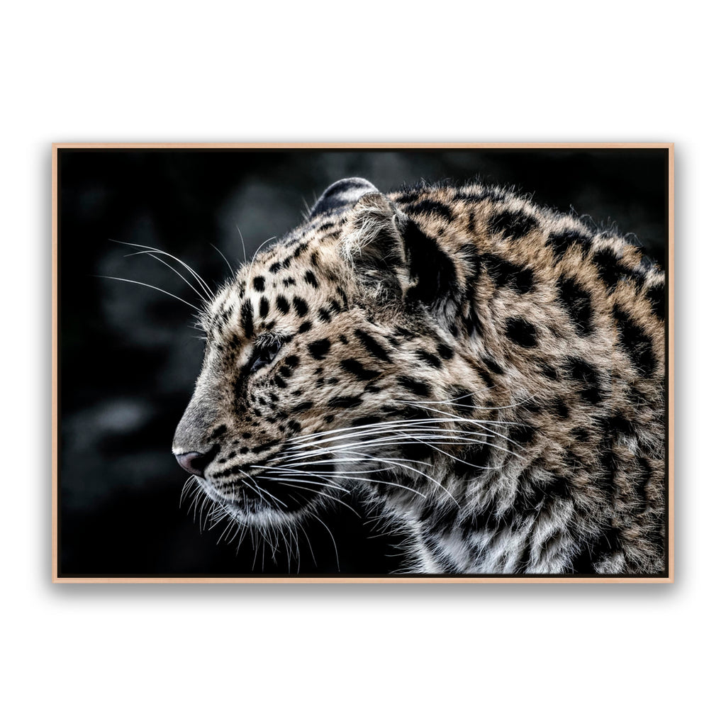 Leo