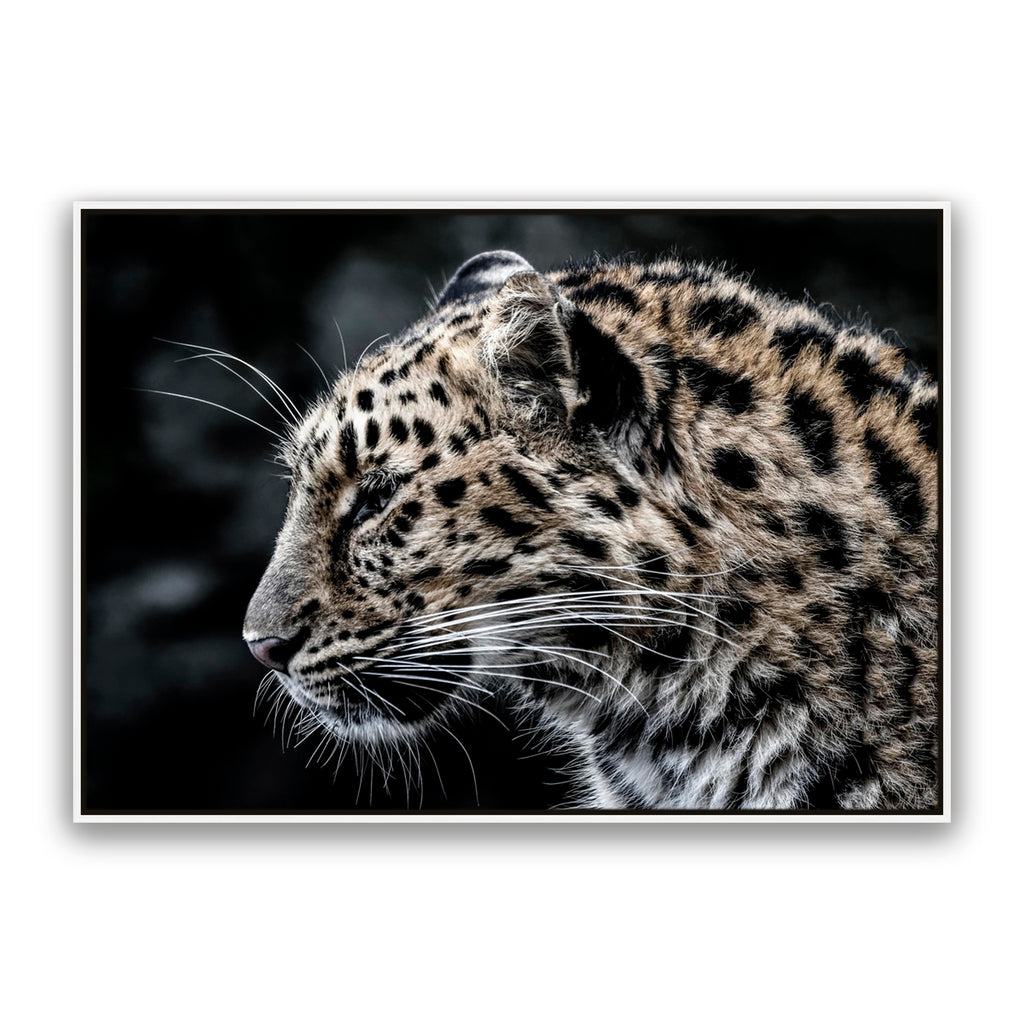 Leo