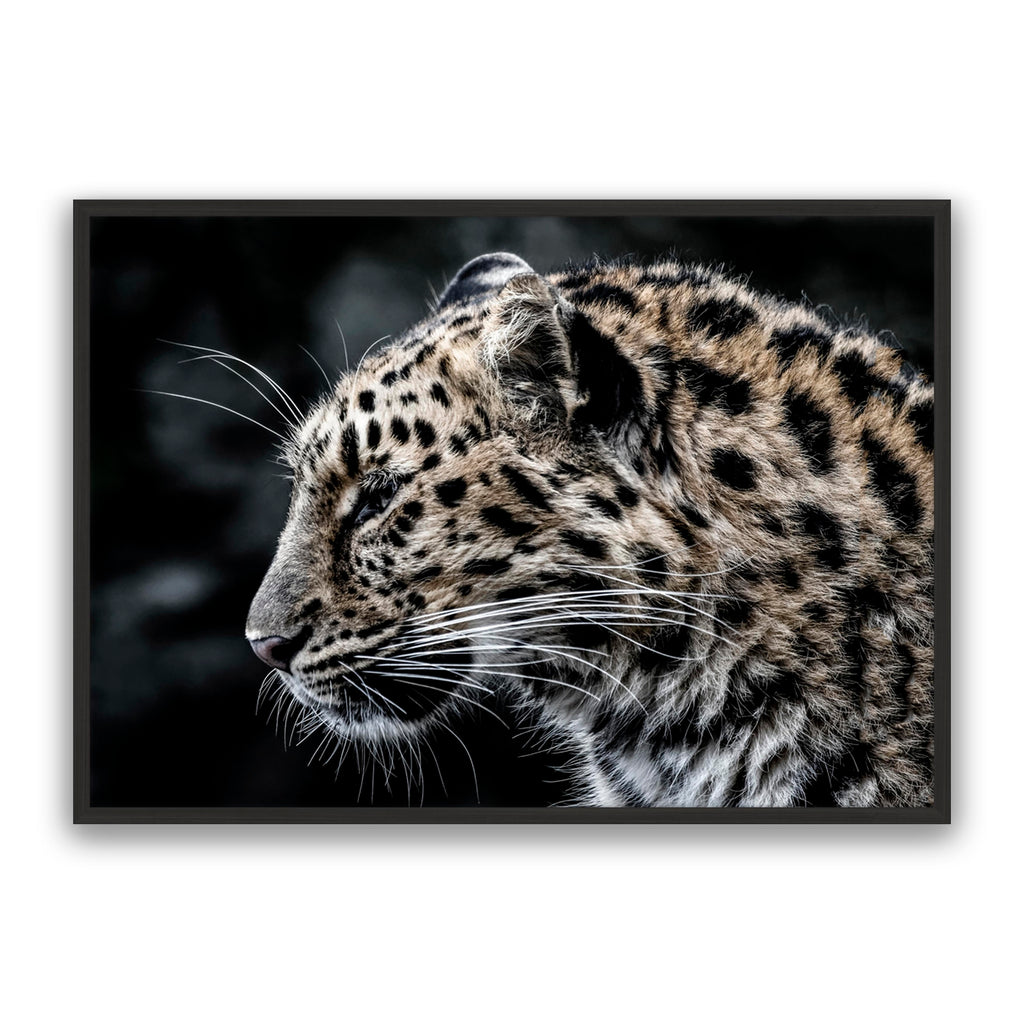 Leo