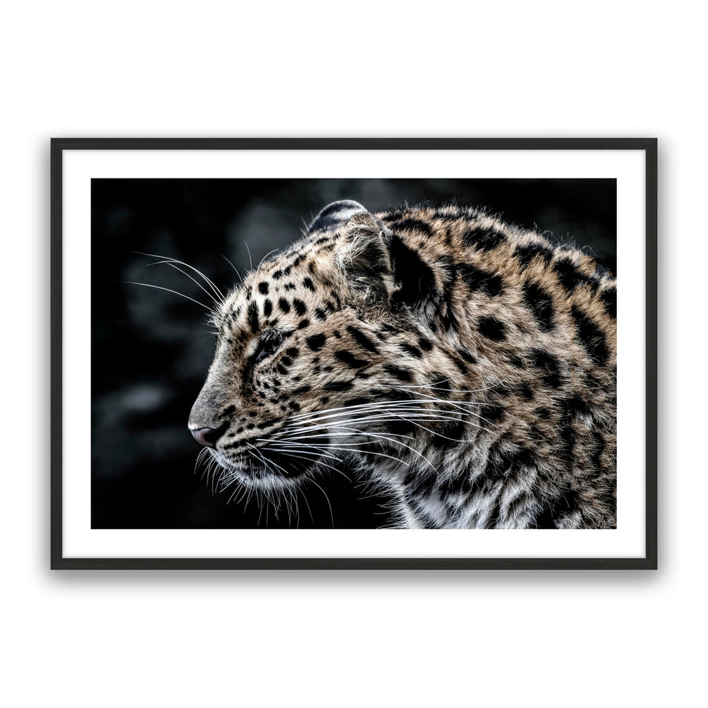 Leo