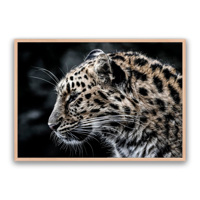 Leo