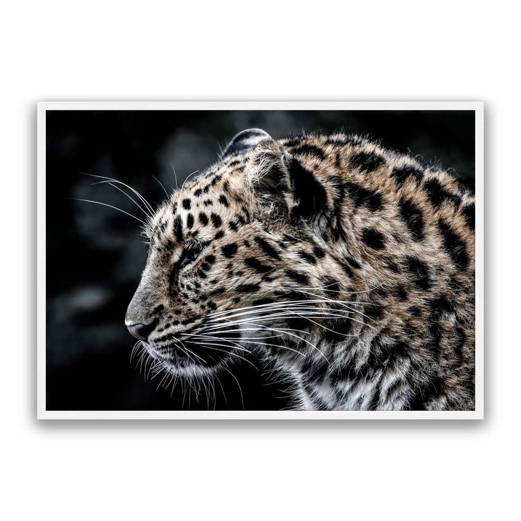 Leo