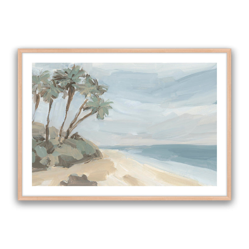 Beach Palms