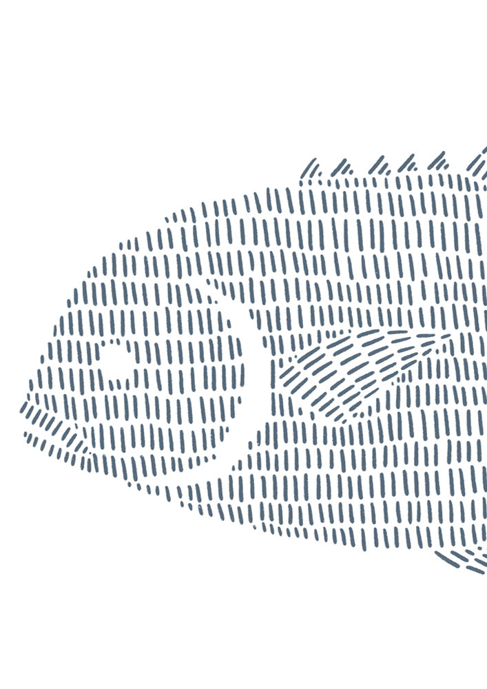 Permit Fish 1
