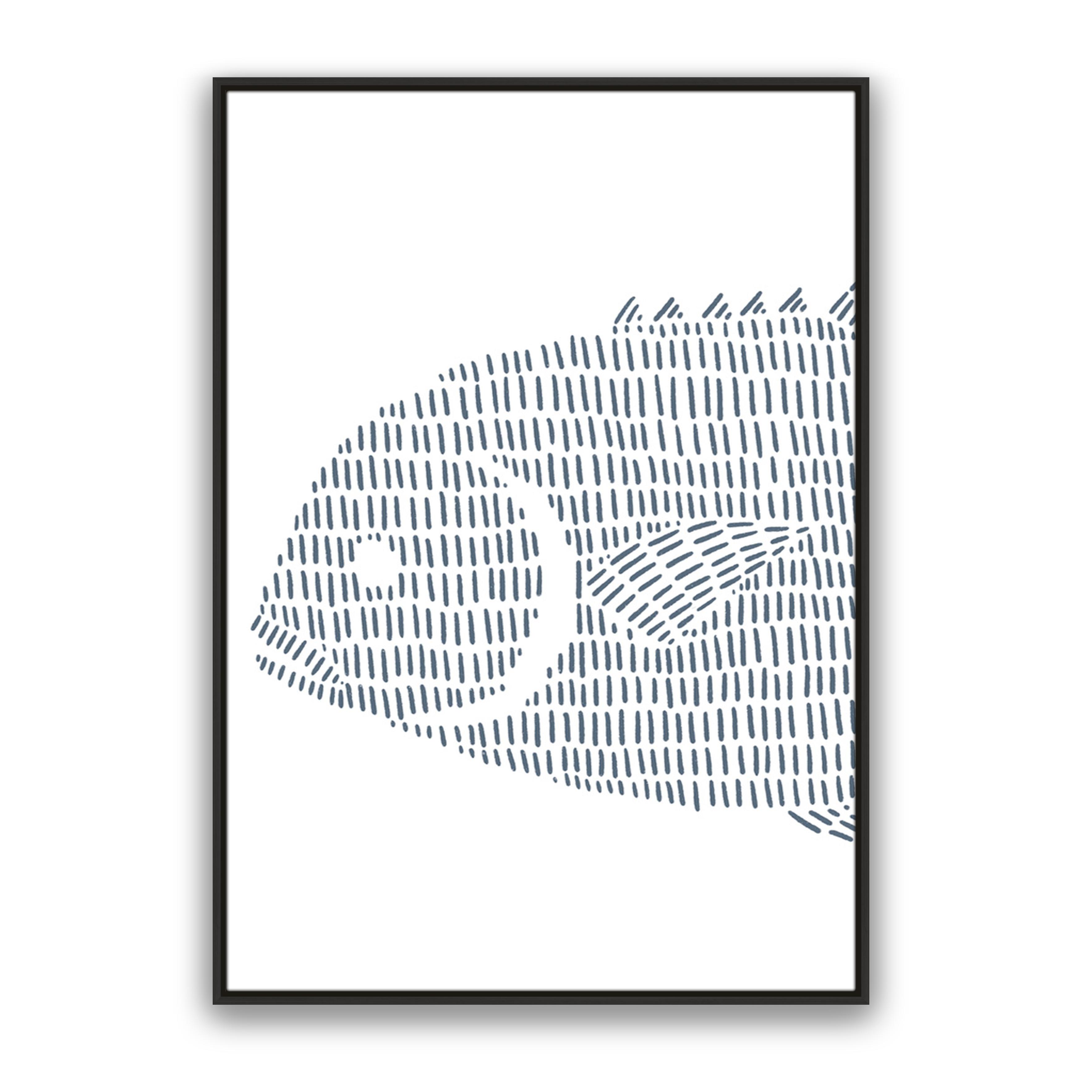 Permit Fish 1
