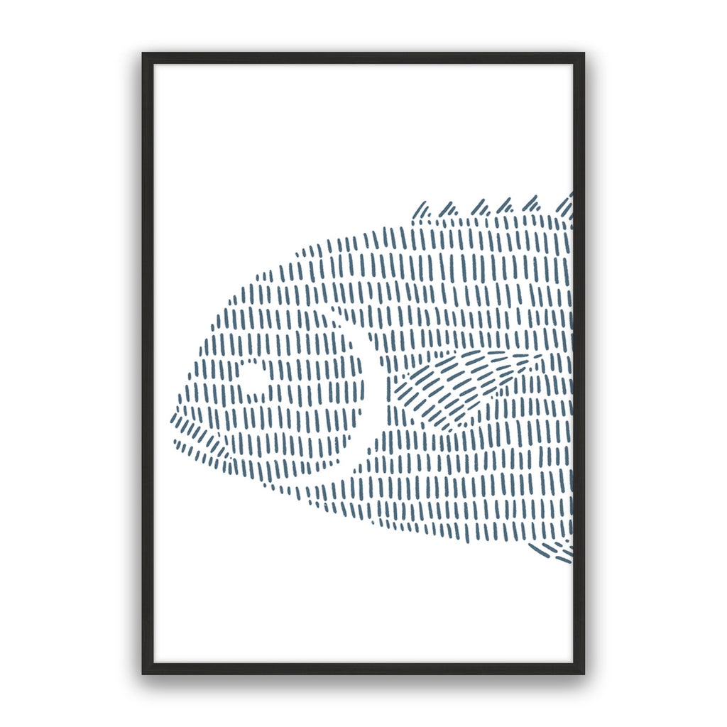 Permit Fish 1