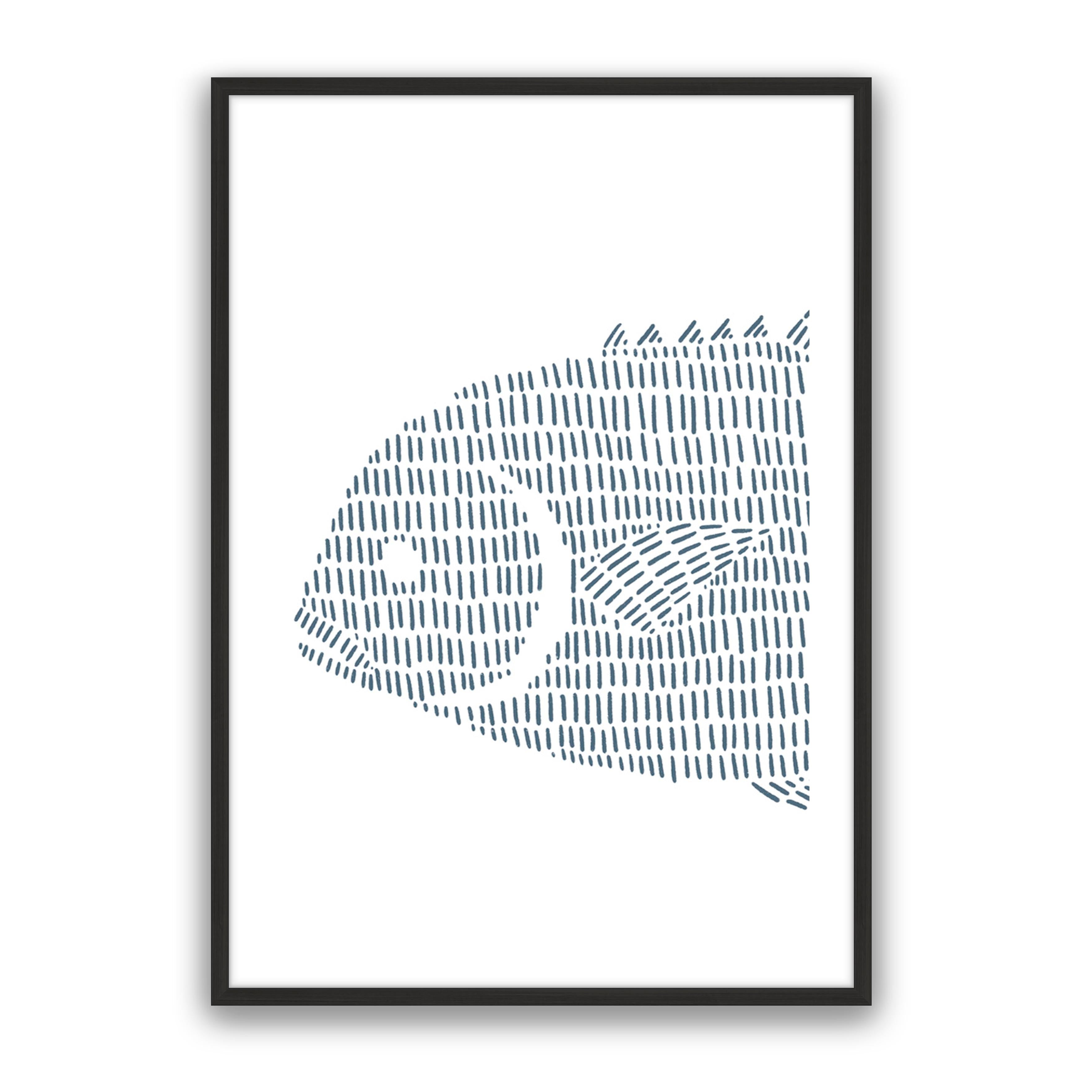 Permit Fish 1