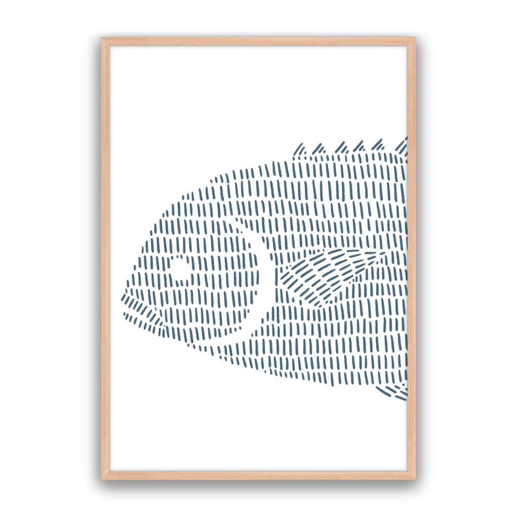 Permit Fish 1