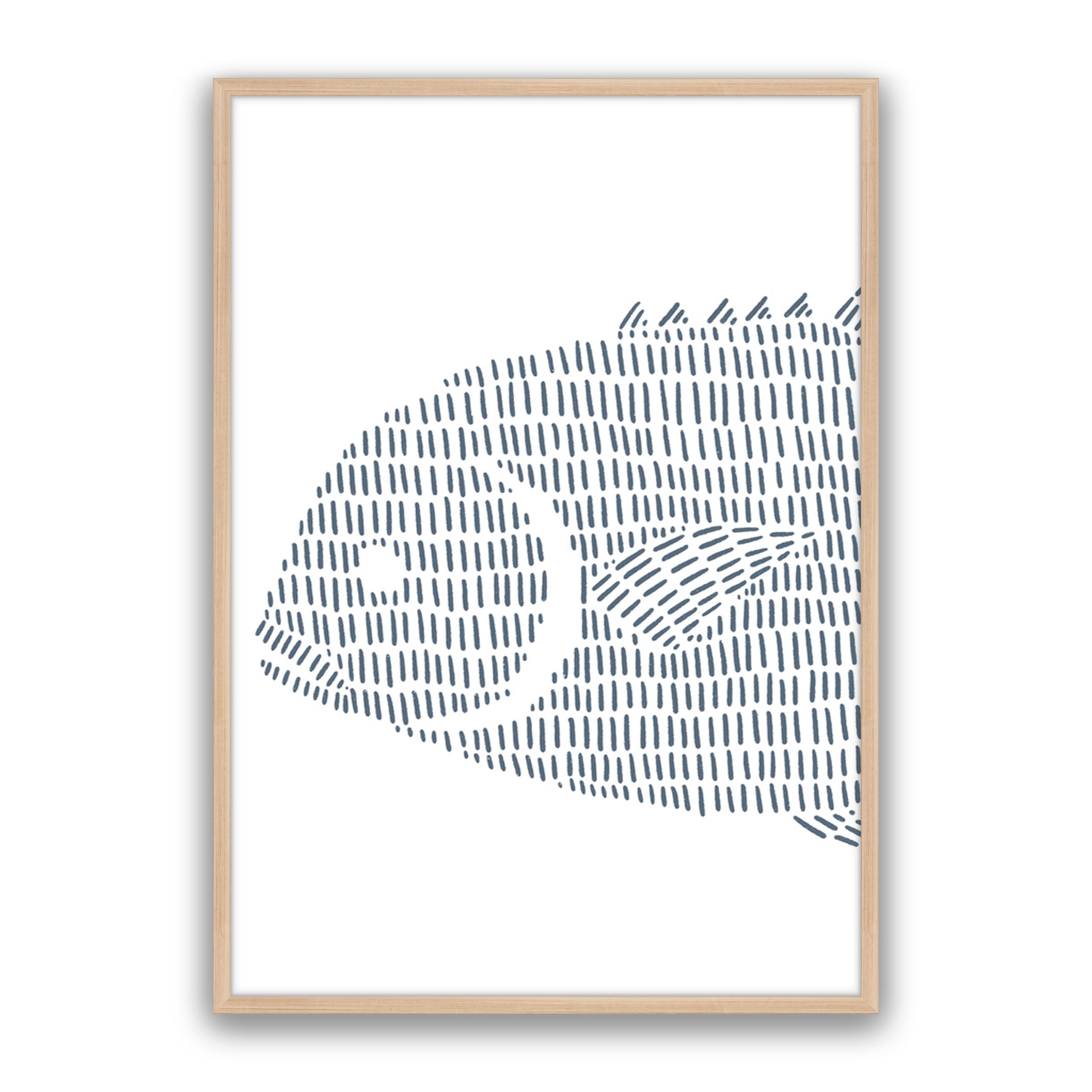 Permit Fish 1