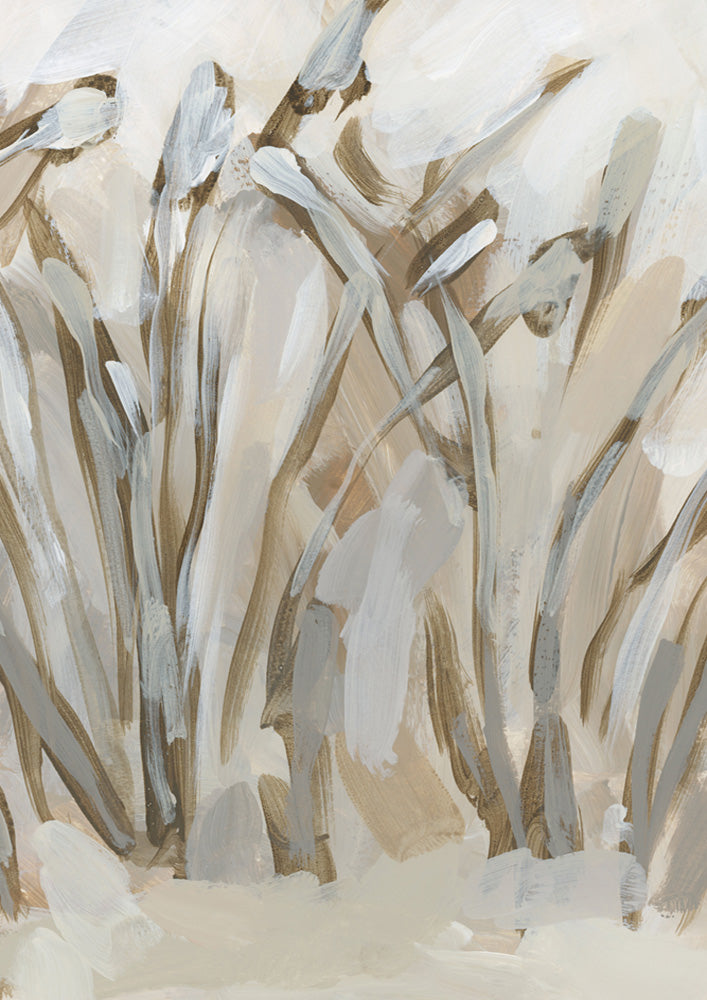 Dunegrass 2