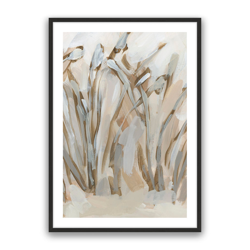 Dunegrass 2