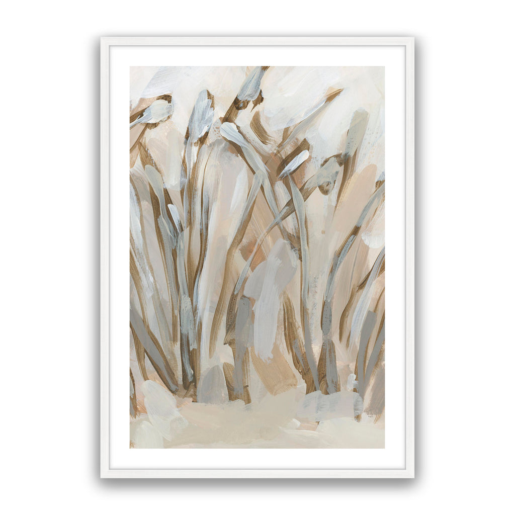 Dunegrass 2