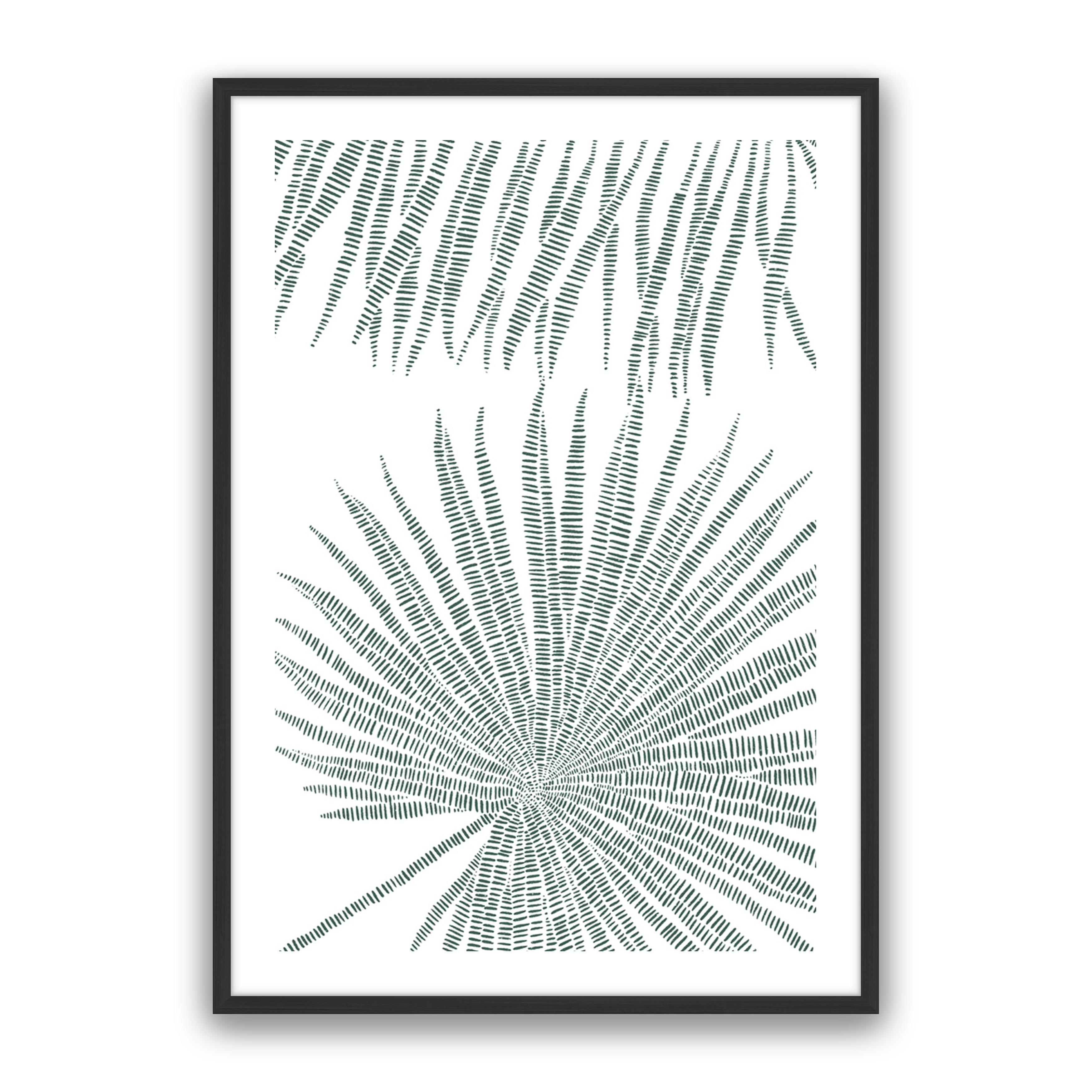 Pristine Palms 1