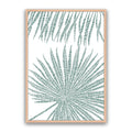 Pristine Palms 1