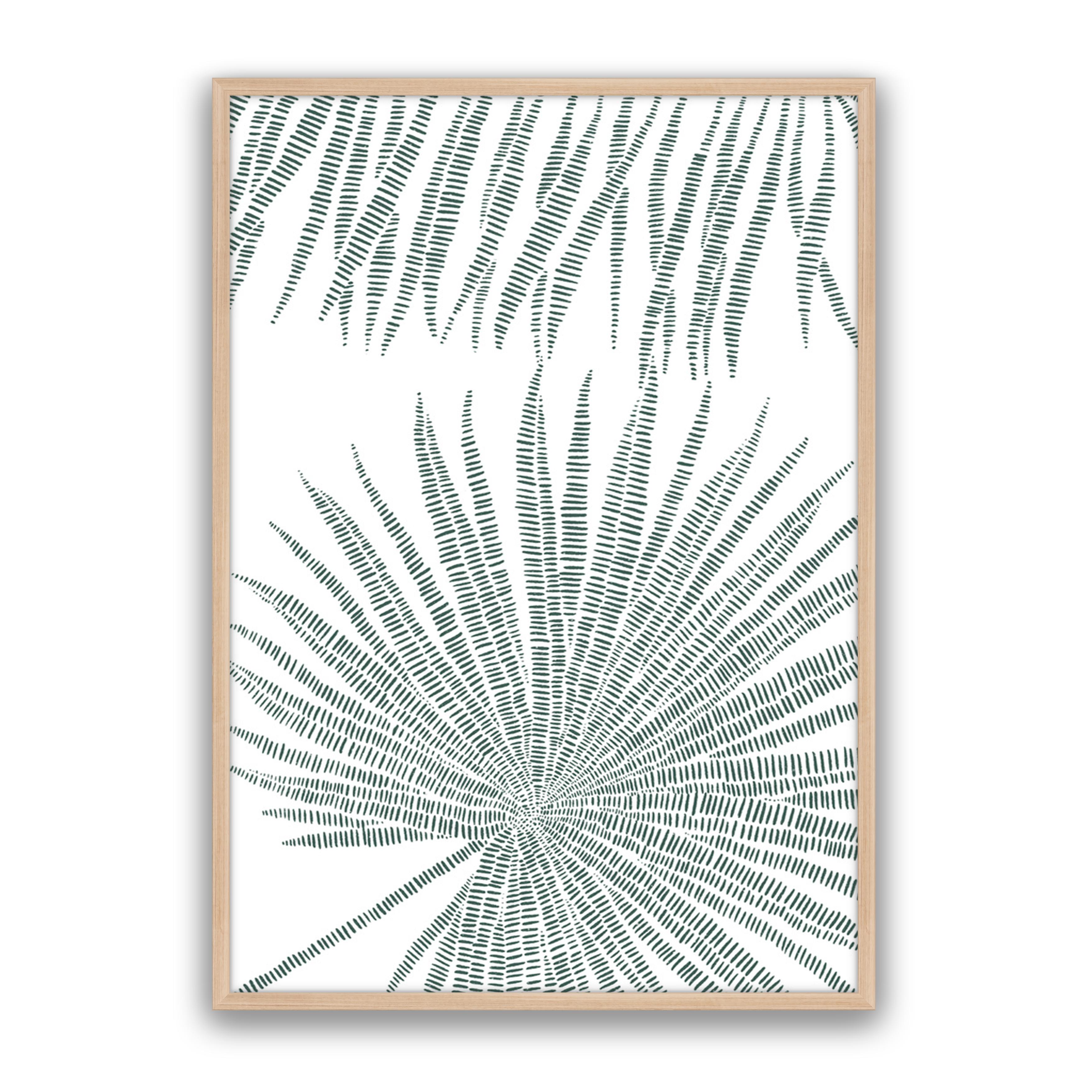 Pristine Palms 1