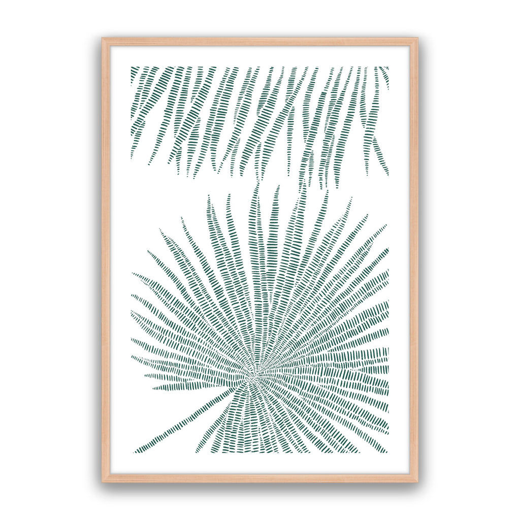 Pristine Palms 1