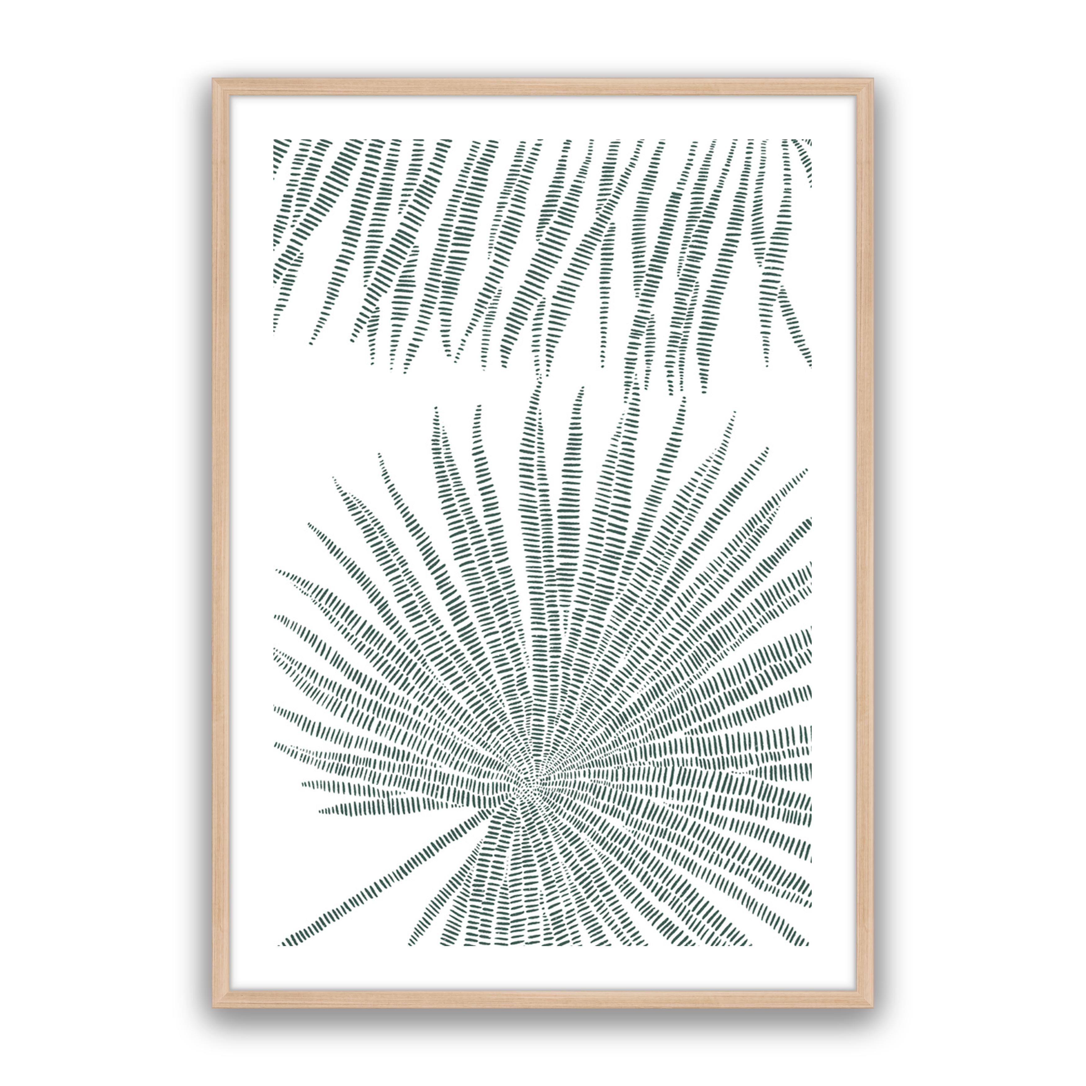 Pristine Palms 1