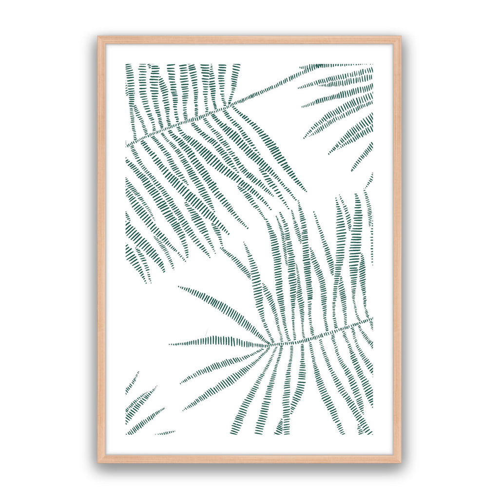 Pristine Palms 3