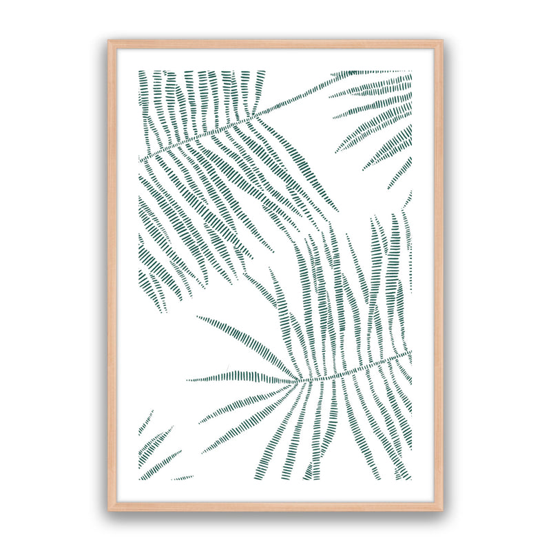 Pristine Palms 3