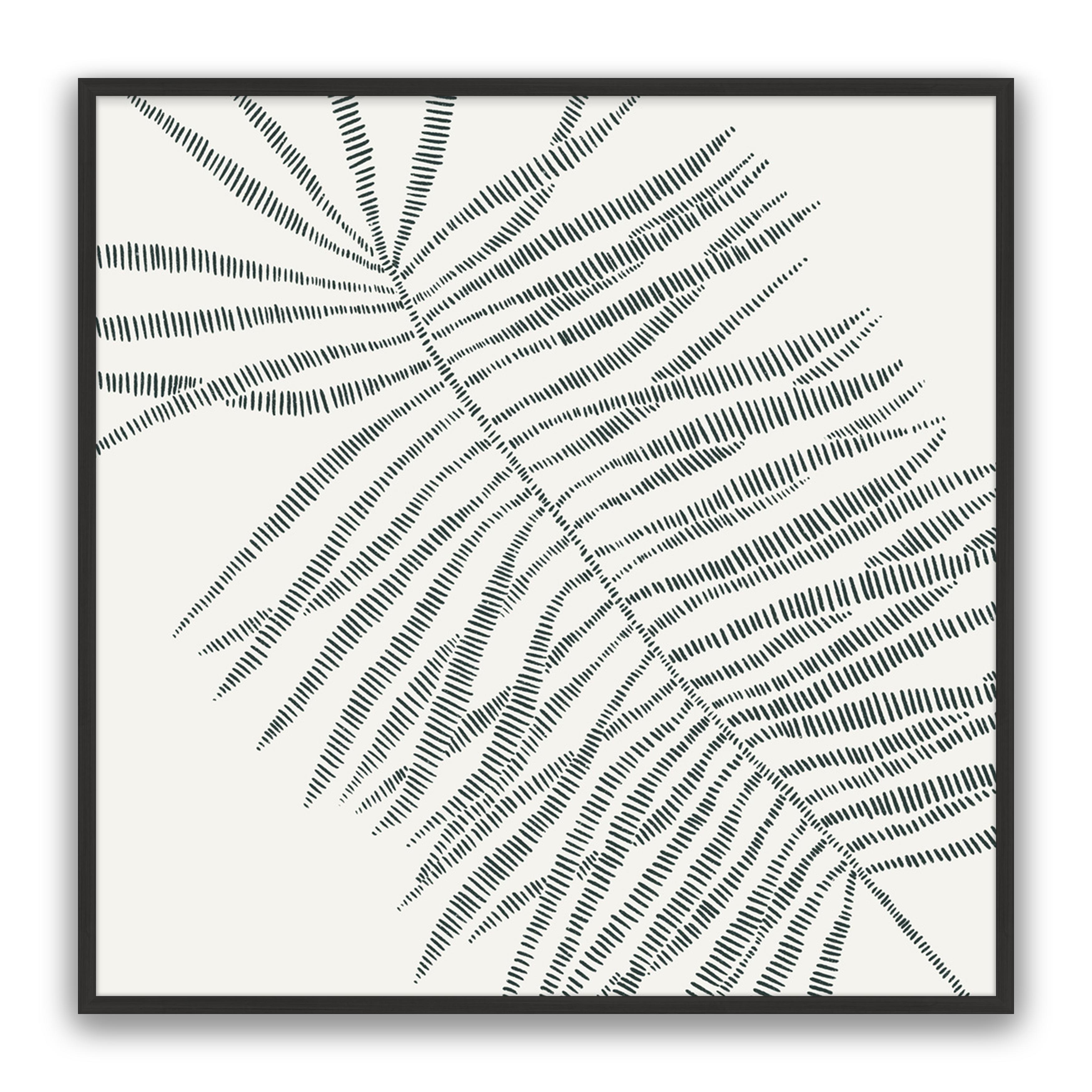 Tropic Palm