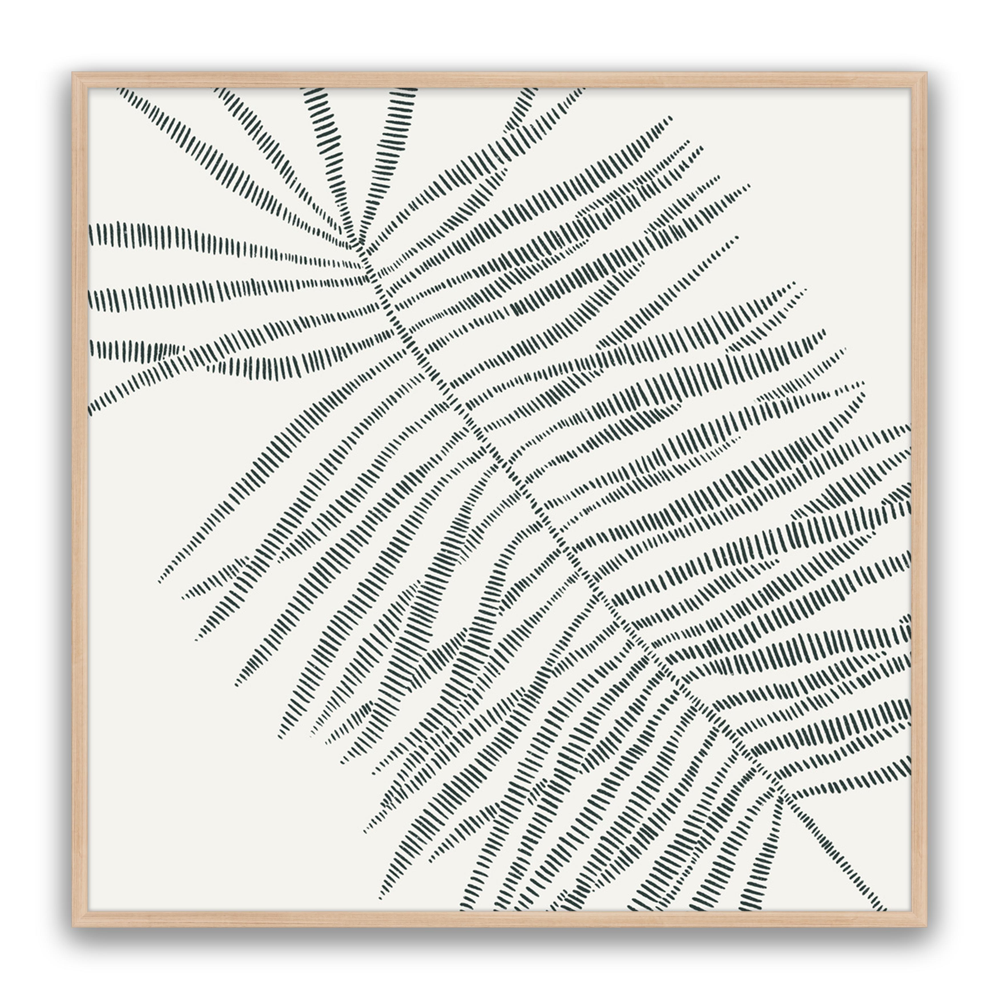 Tropic Palm
