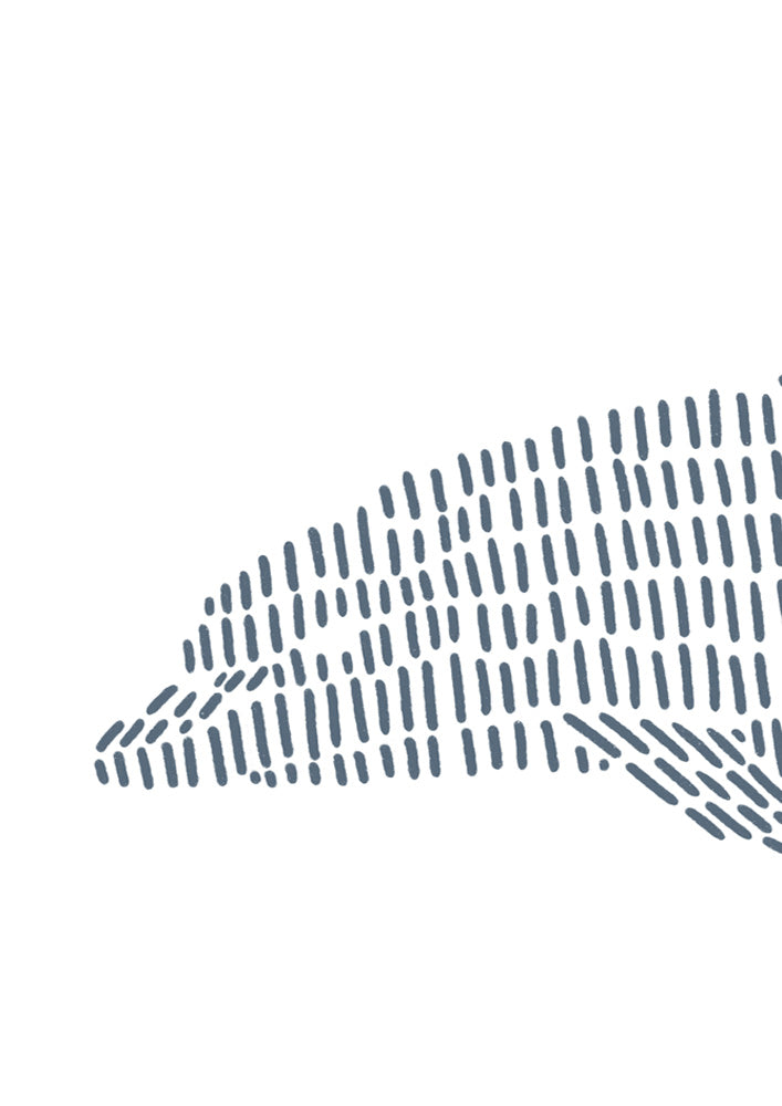 Dolphin 1
