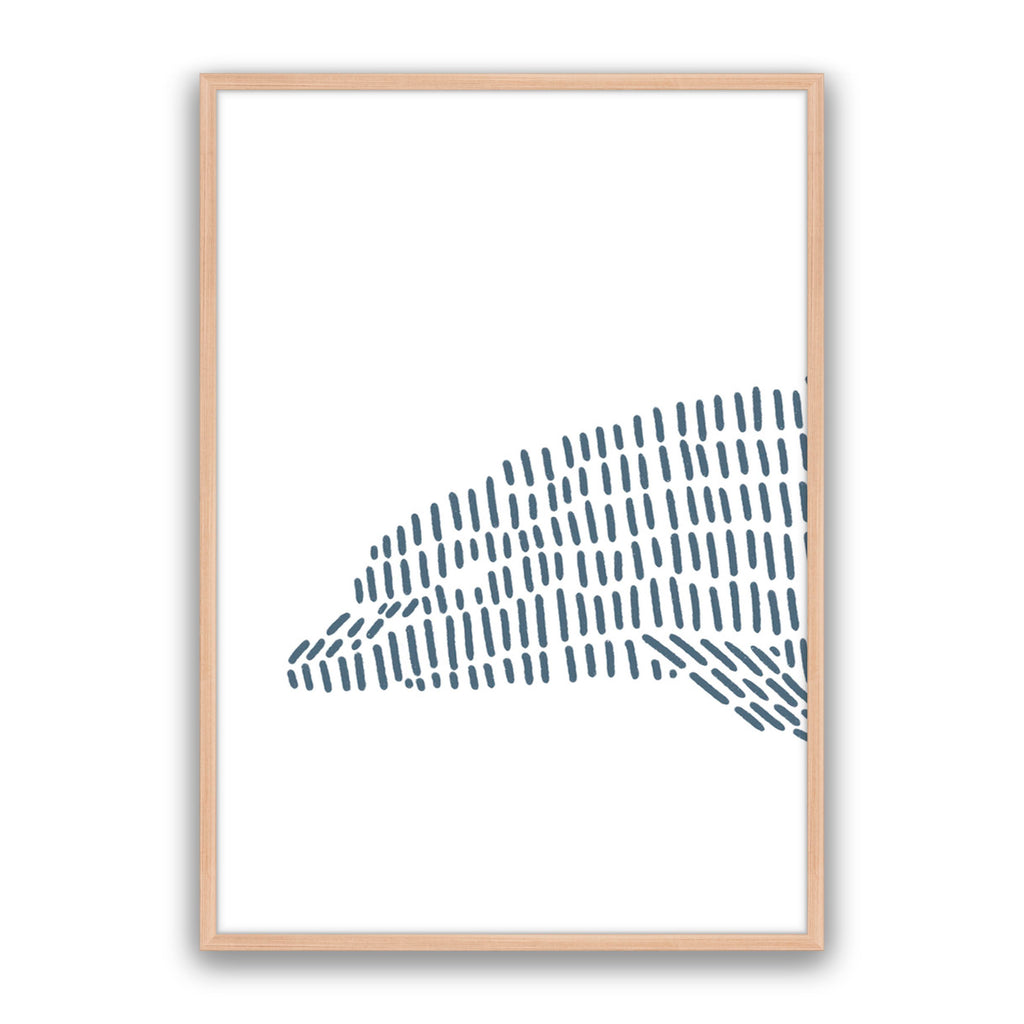 Dolphin 1