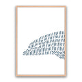 Dolphin 1