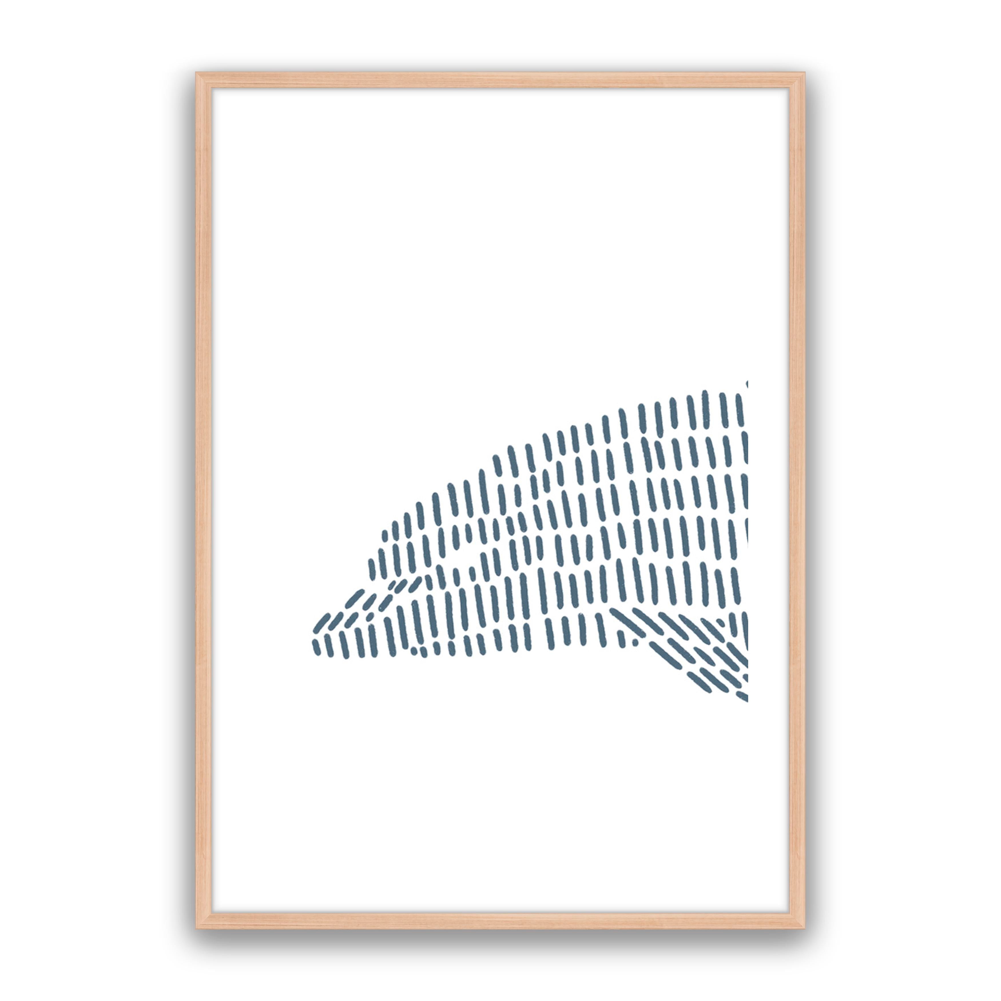 Dolphin 1