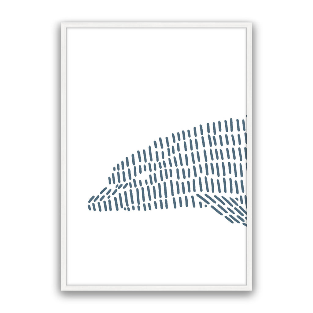 Dolphin 1