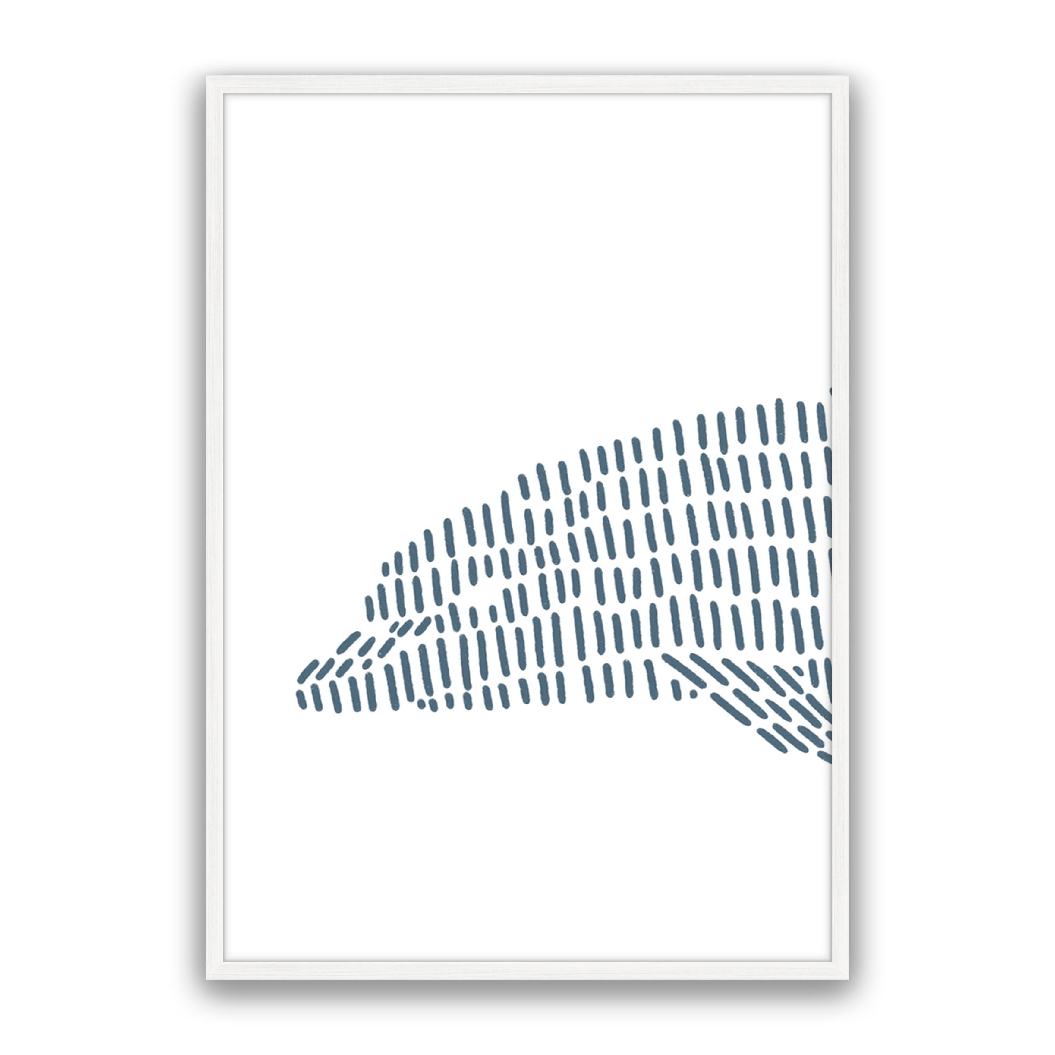 Dolphin 1