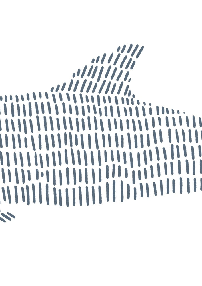 Dolphin 2