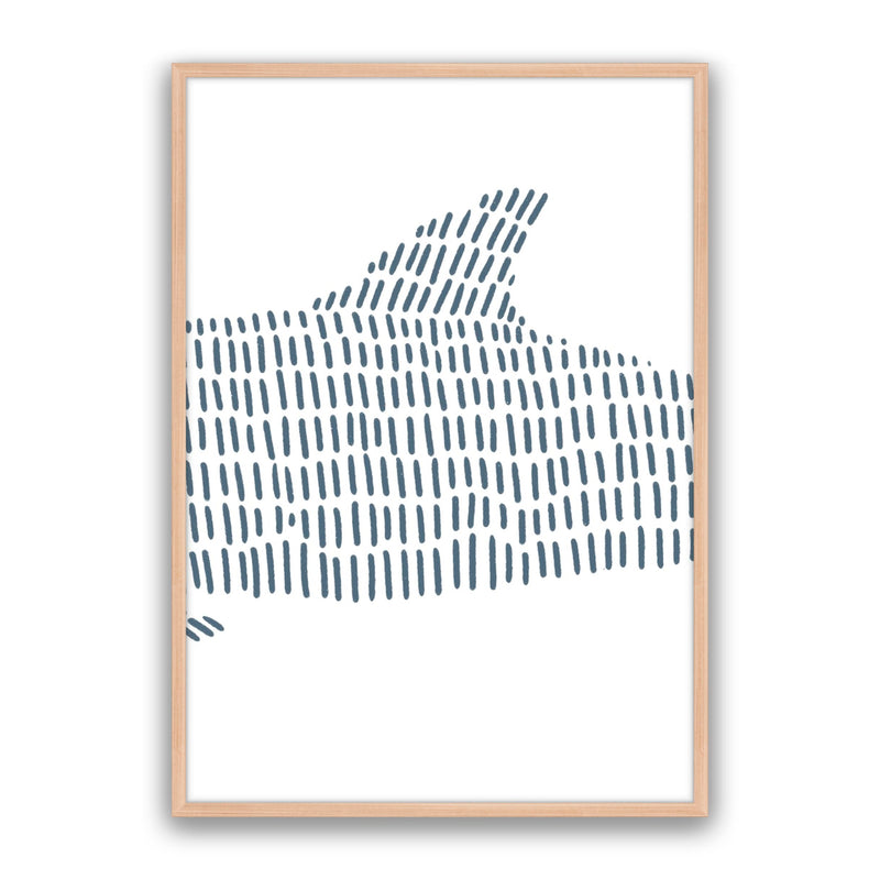 Dolphin 2