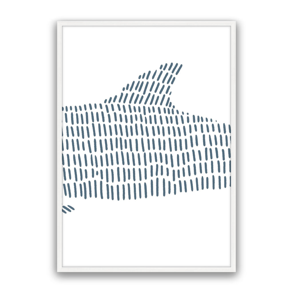 Dolphin 2