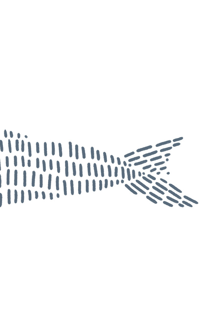 Dolphin 3