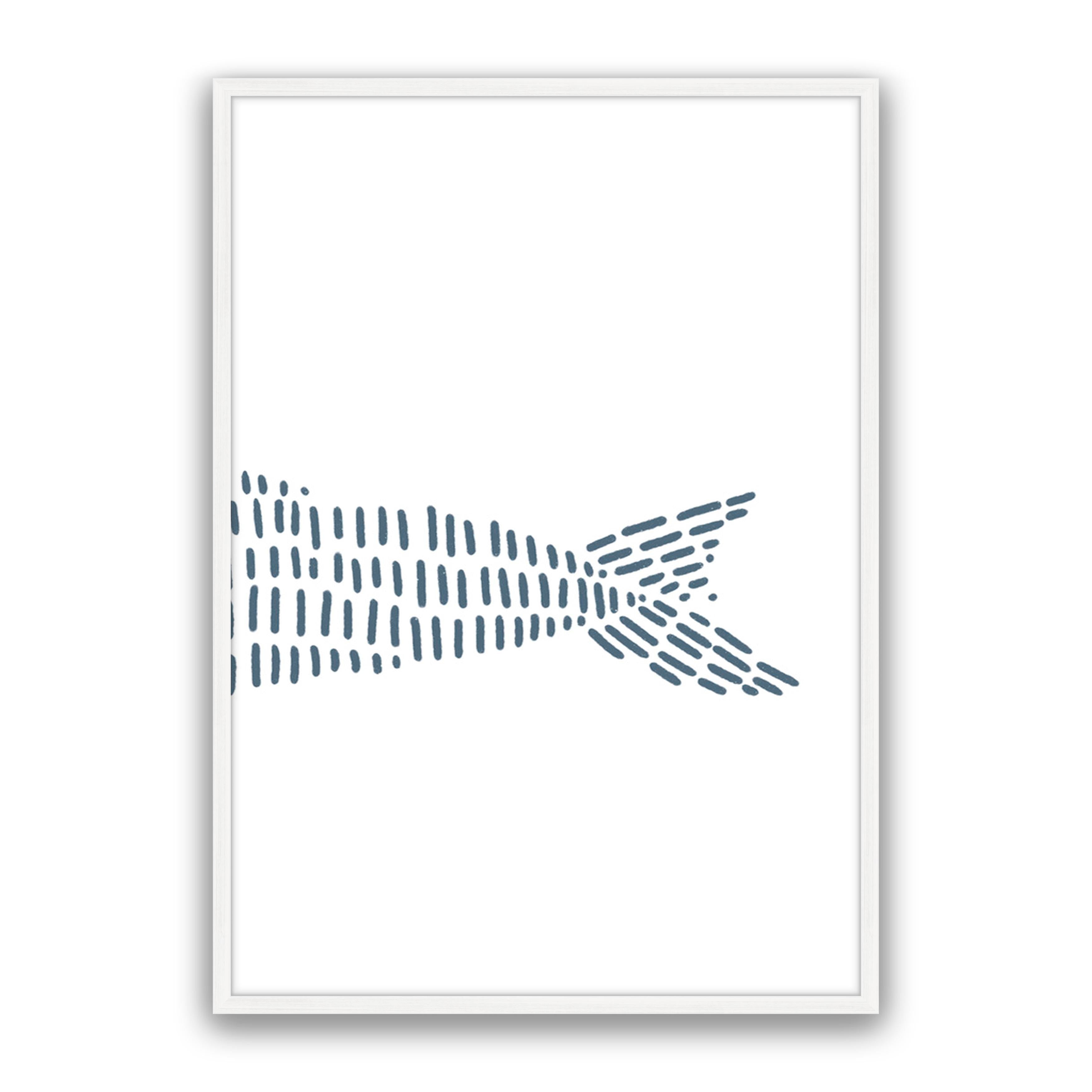 Dolphin 3