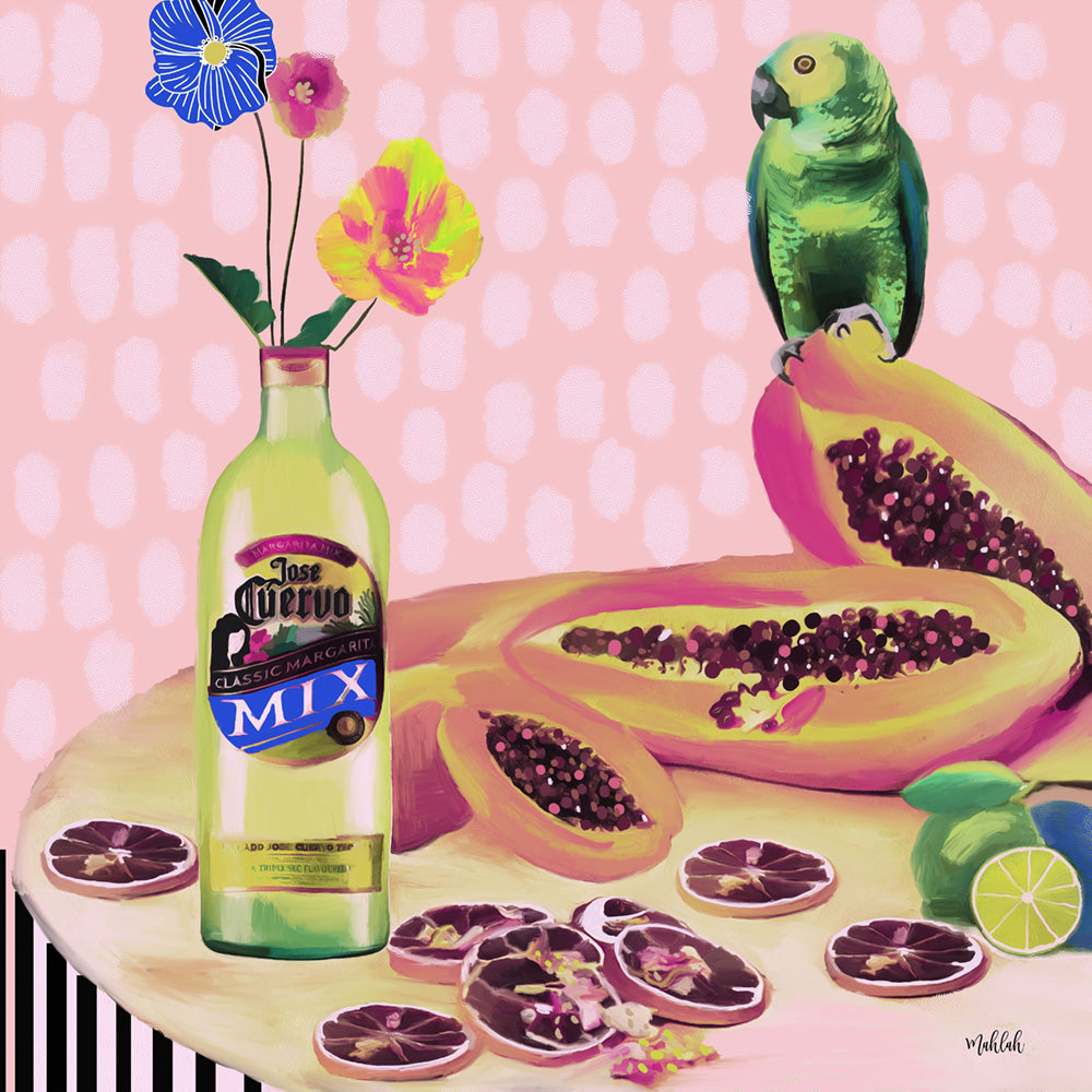 Aviary Fiesta