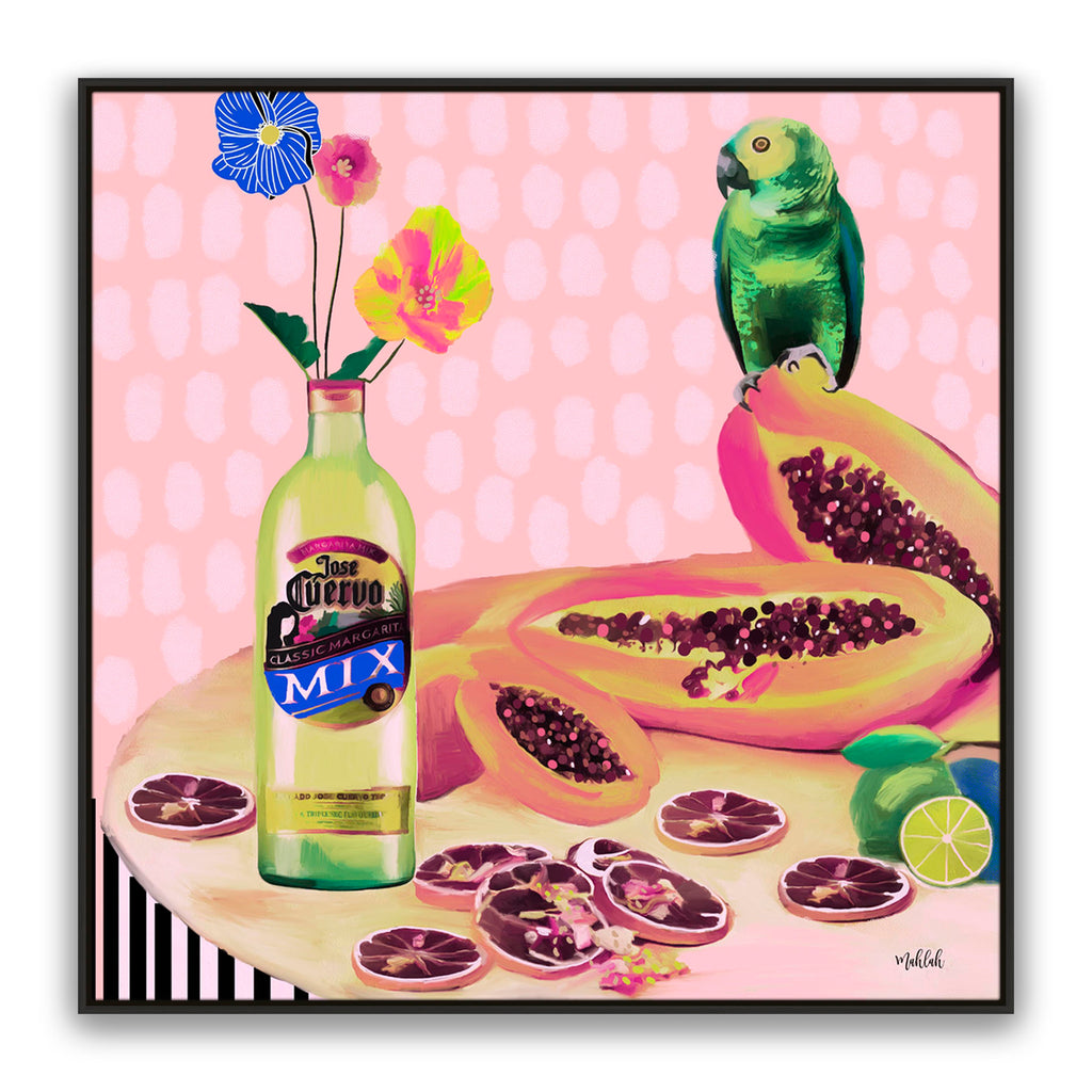 Aviary Fiesta