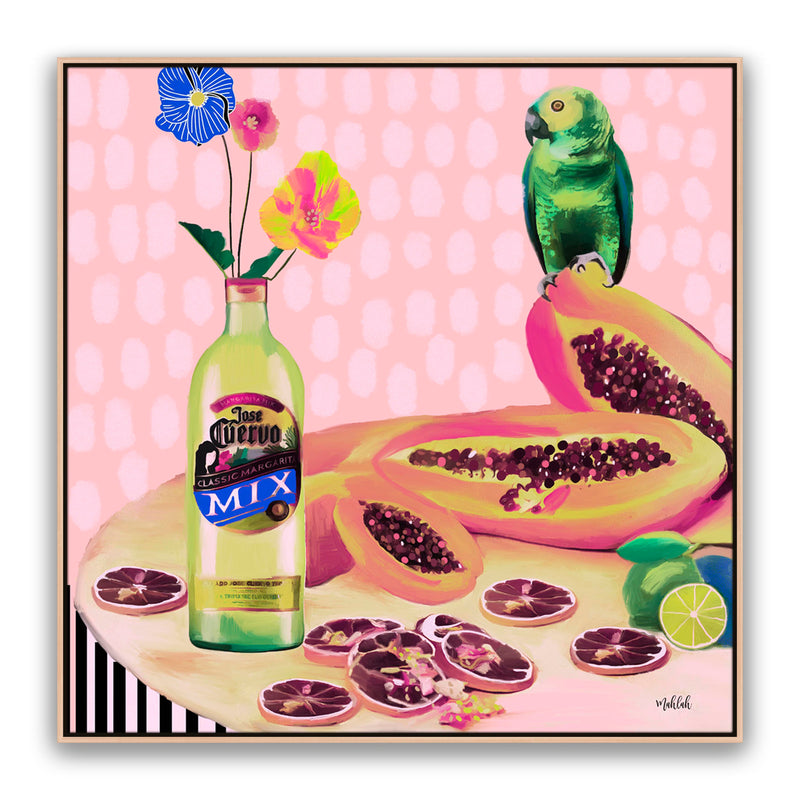 Aviary Fiesta