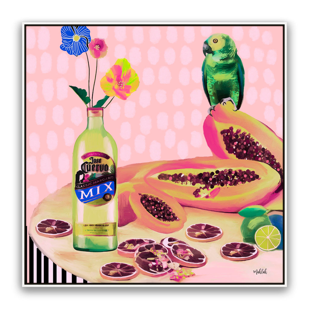 Aviary Fiesta