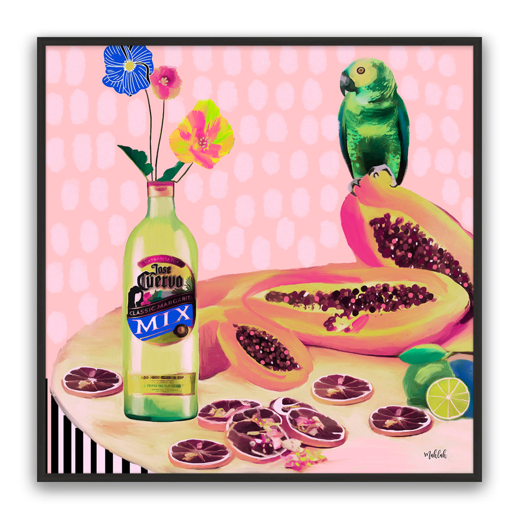 Aviary Fiesta