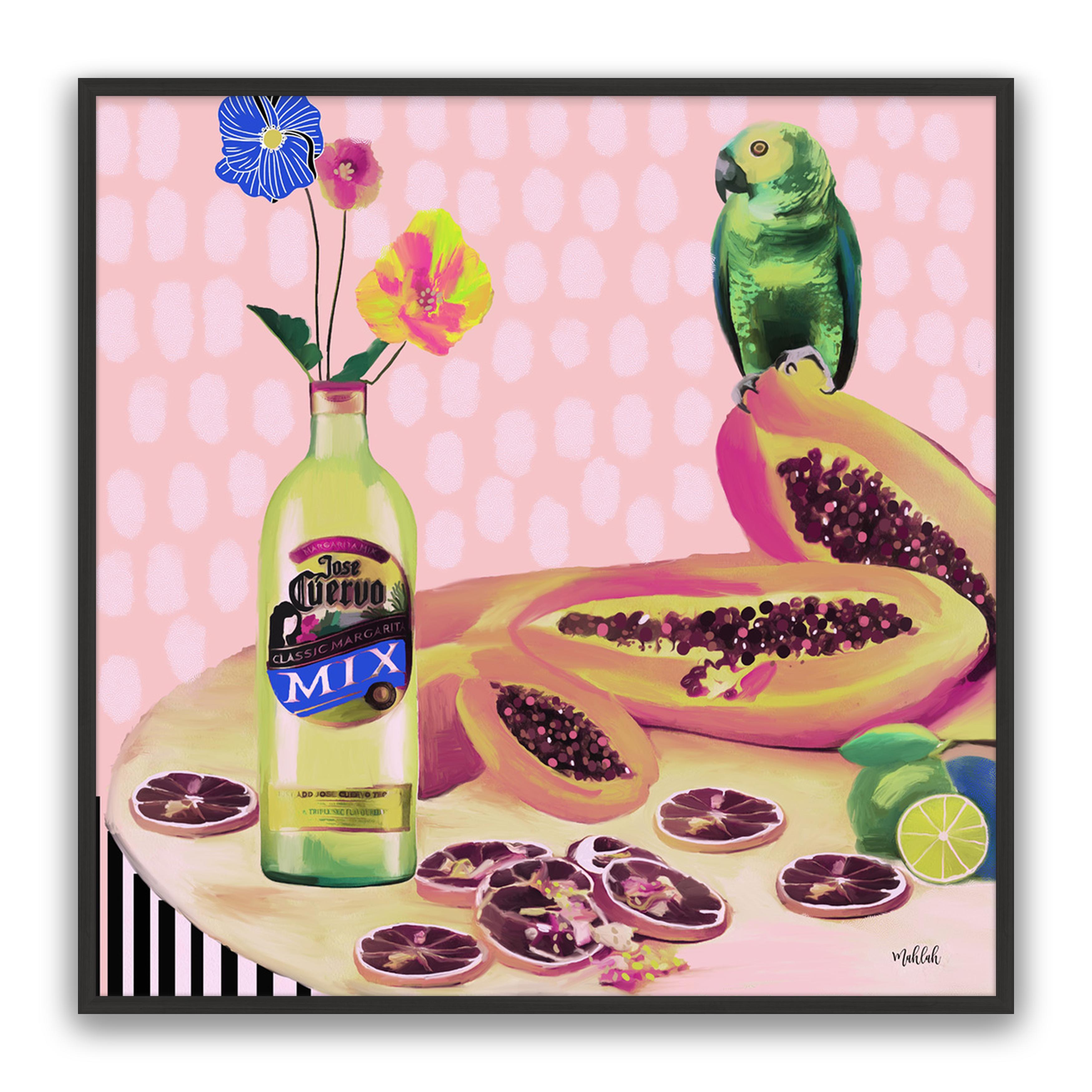 Aviary Fiesta