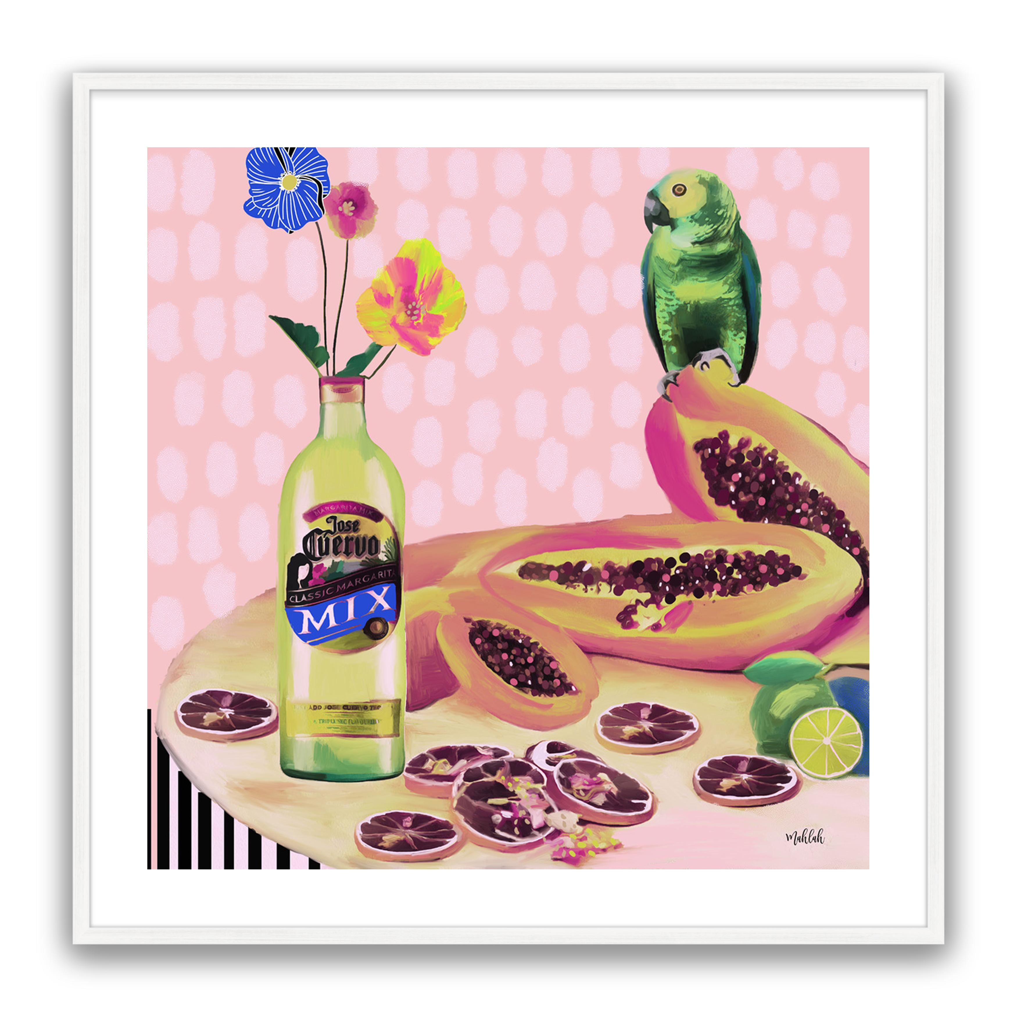 Aviary Fiesta